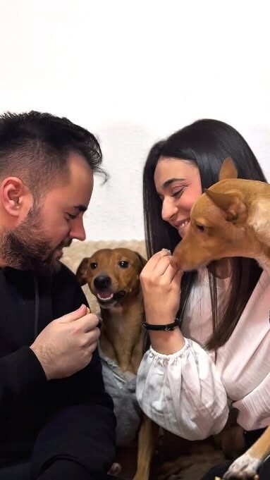 Instagram post from velarte_es. This post is in position 0.